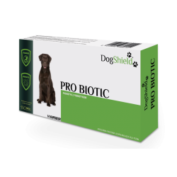 DOGSHIELD PRO BIOTIC 21sztuk