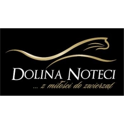 DOLINA NOTECI